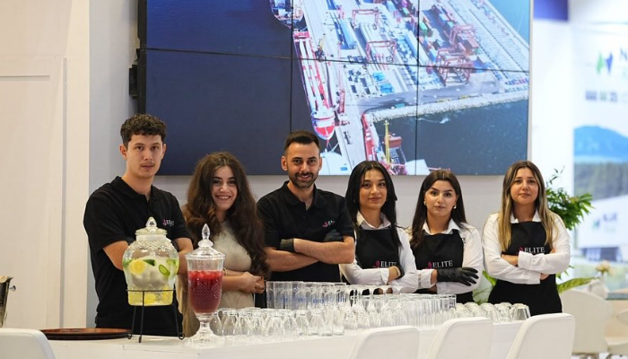 organizasyon